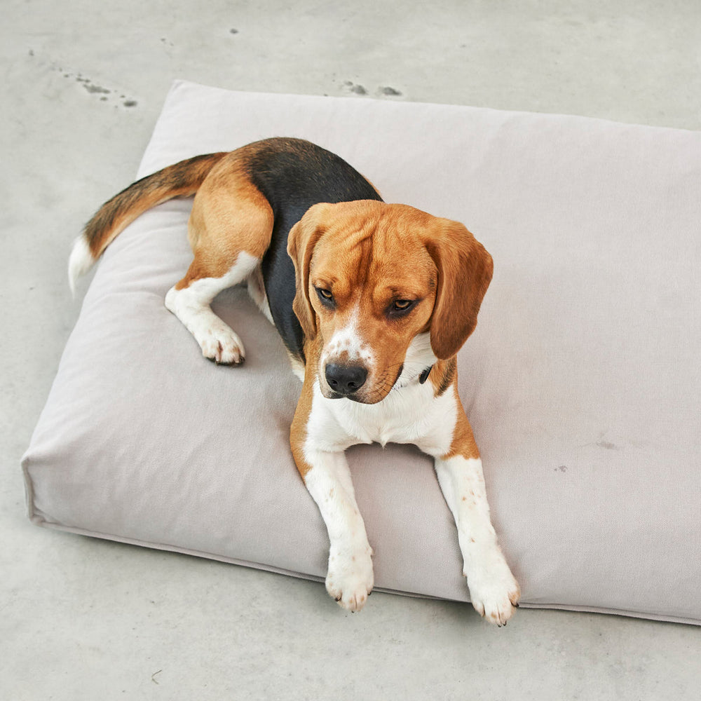 Comodo Dog Cushion