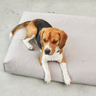 Comodo Dog Cushion
