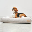 Comodo Dog Cushion
