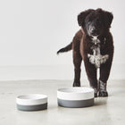 Coppa Bowl and Treat Jar
