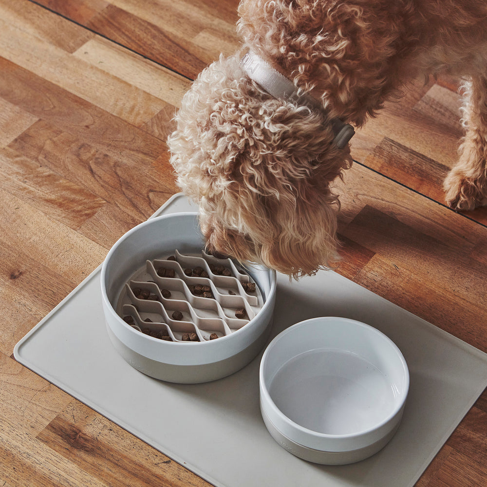 Coppa Bowl and Treat Jar