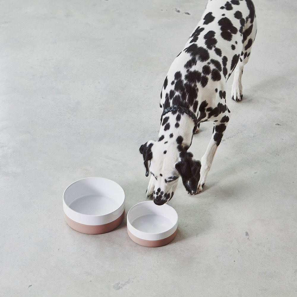 Coppa Bowl and Treat Jar