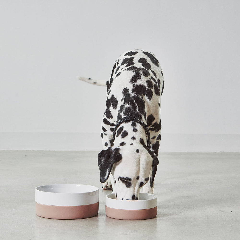 Coppa Bowl and Treat Jar