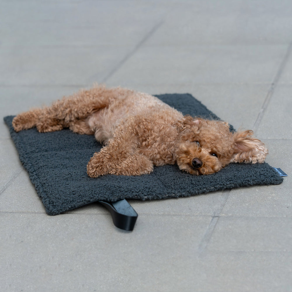 Cosmo Senso TravelBed