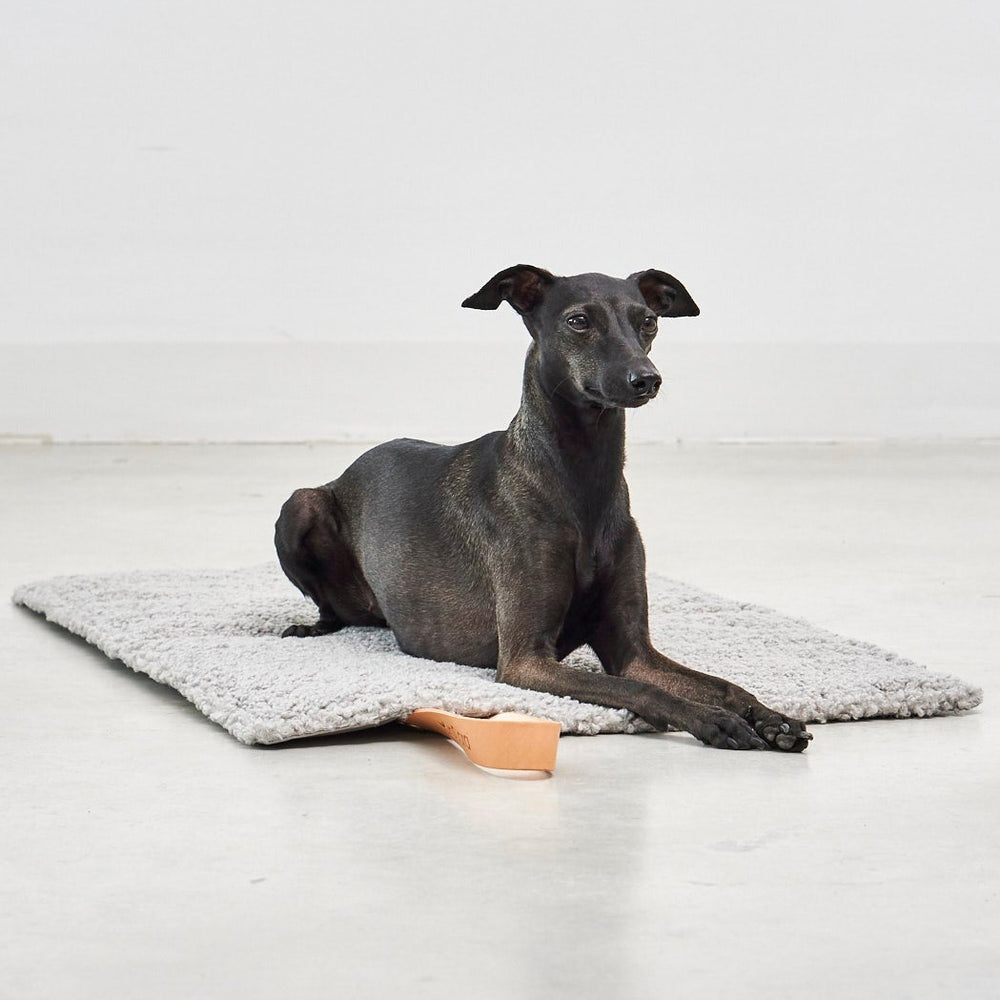 Cosmo Senso TravelBed