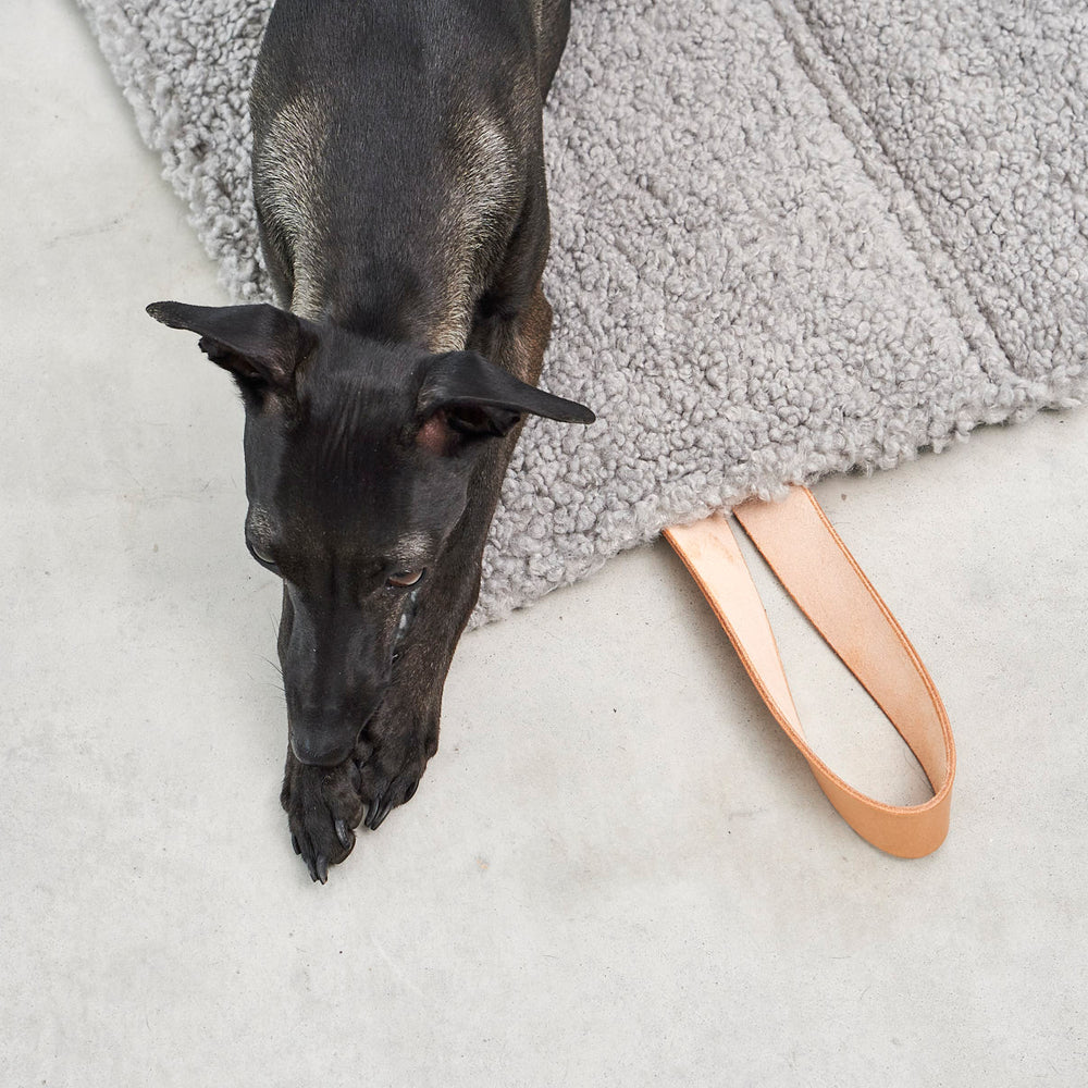 Cosmo Senso TravelBed