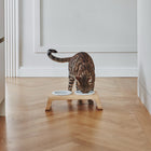 Desco Cat Feeder with Porcelain Bowl