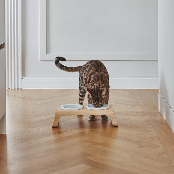 Desco Cat Feeder with Porcelain Bowl