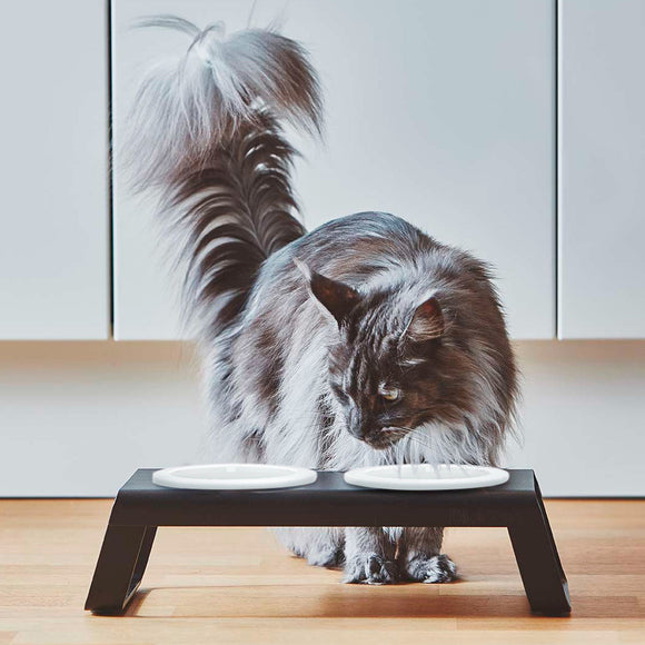 Desco Cat Feeder with Porcelain Bowl