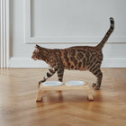 Desco Cat Feeder with Porcelain Bowl