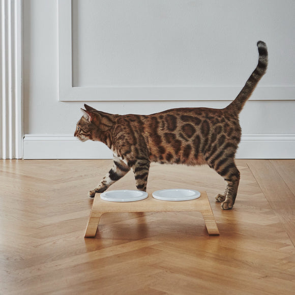 Desco Cat Feeder with Porcelain Bowl