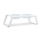 Desco Dog Feeder with Porcelain Bowl  option White