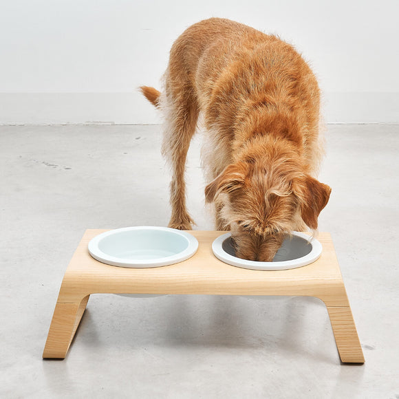 Desco Dog Feeder with Porcelain Bowl