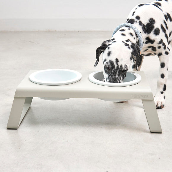 Desco Dog Feeder with Porcelain Bowl