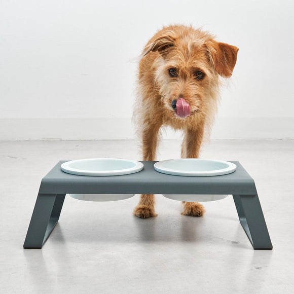 Desco Dog Feeder with Porcelain Bowl
