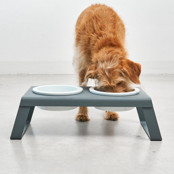 Desco Dog Feeder with Porcelain Bowl