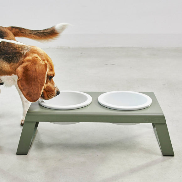 Desco Dog Feeder with Porcelain Bowl