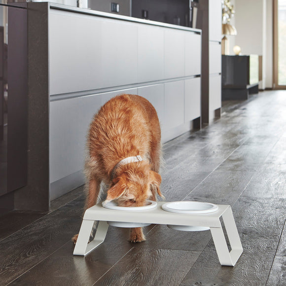 Desco Dog Feeder with Porcelain Bowl