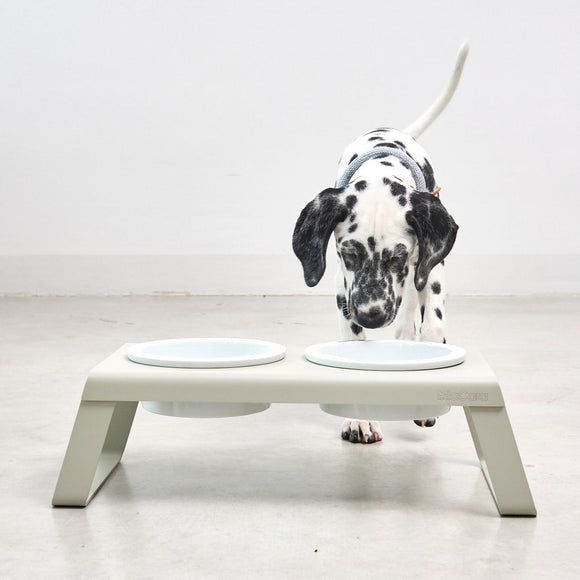 Desco Dog Feeder with Porcelain Bowl