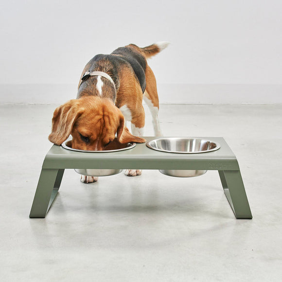 Desco Dog Feeder