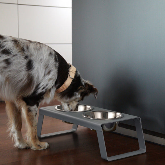Desco Dog Feeder