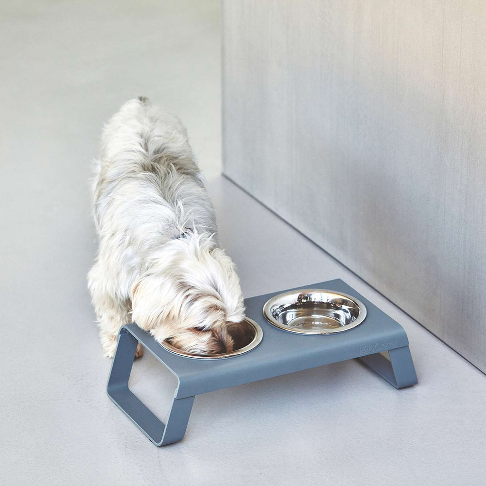 Desco Dog Feeder