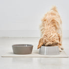 Doppio Dog Bowl Set