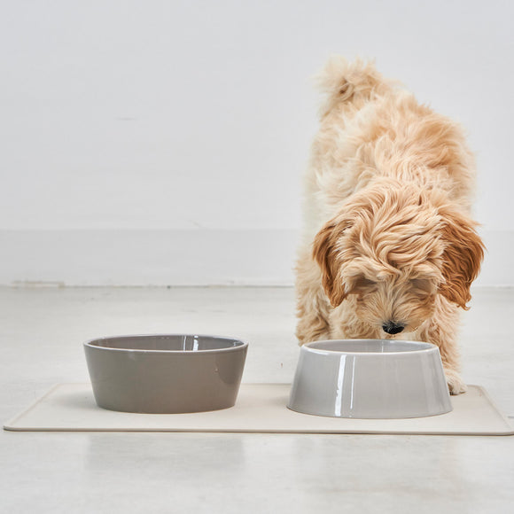 MiaCara Doppio Dog Bowl Set - 2Modern