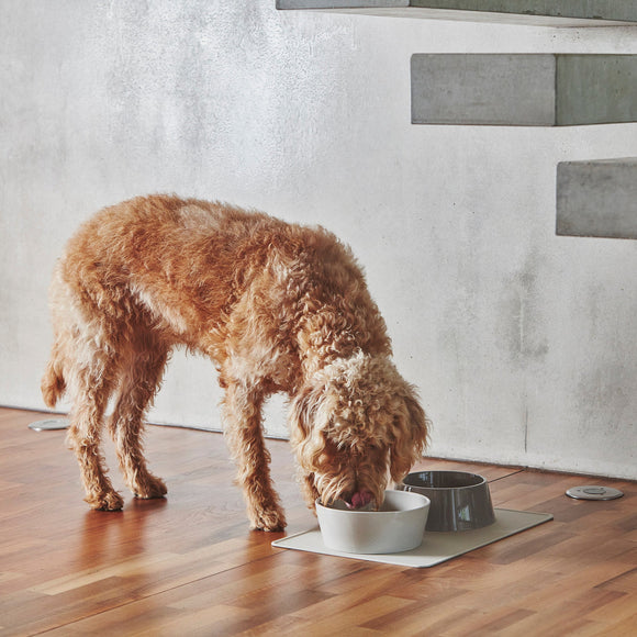 Doppio Dog Bowl Set