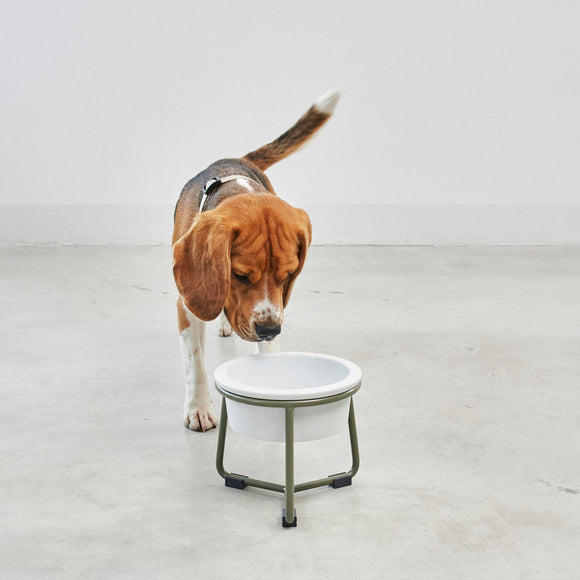 Pranzo Dog Feeder