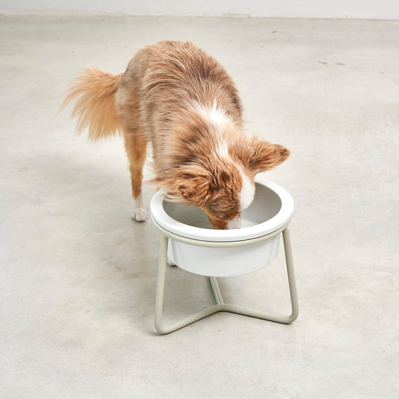 Pranzo Dog Feeder