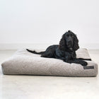 Senso Dog Cushion