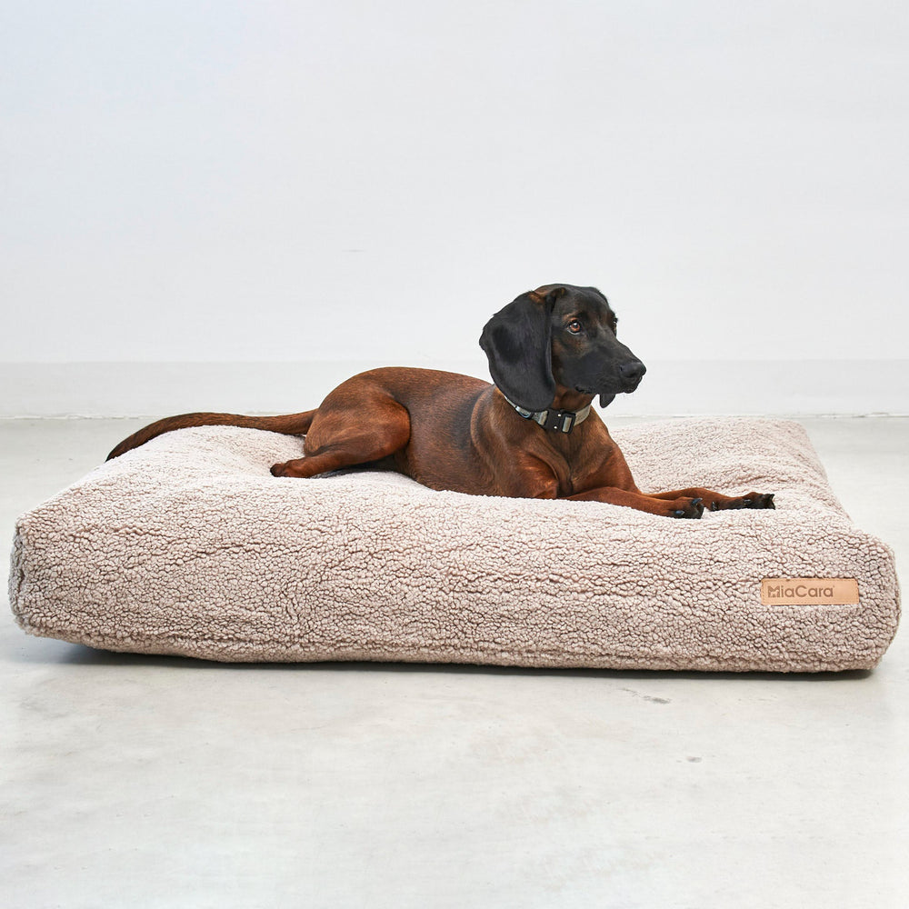Senso Dog Cushion