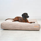 Senso Dog Cushion
