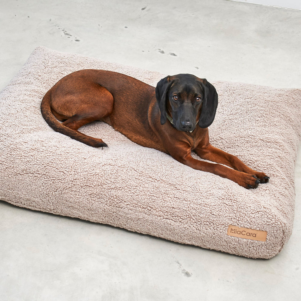 Senso Dog Cushion