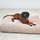 Senso Dog Cushion