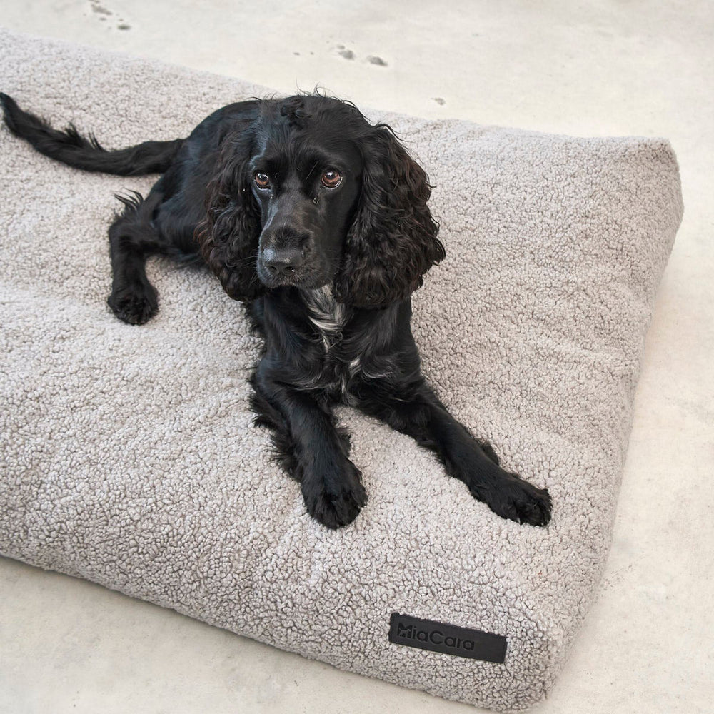 Senso Dog Cushion