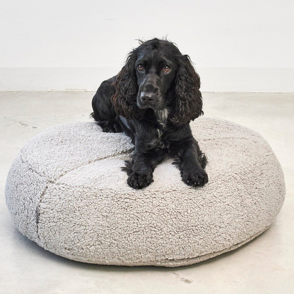 Senso Dog Pouffe