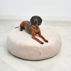 Senso Dog Pouffe