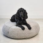 Senso Dog Pouffe
