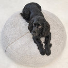 Senso Dog Pouffe
