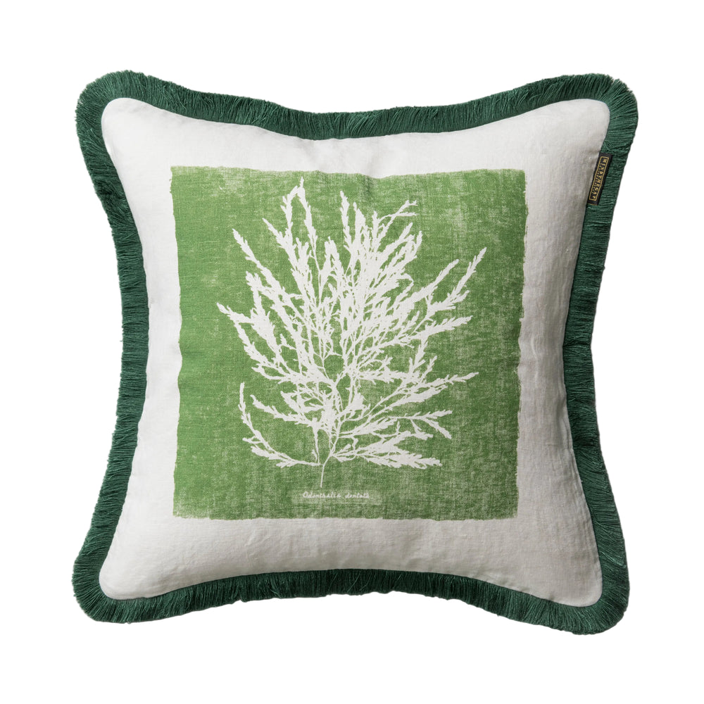 Algae I Pillow