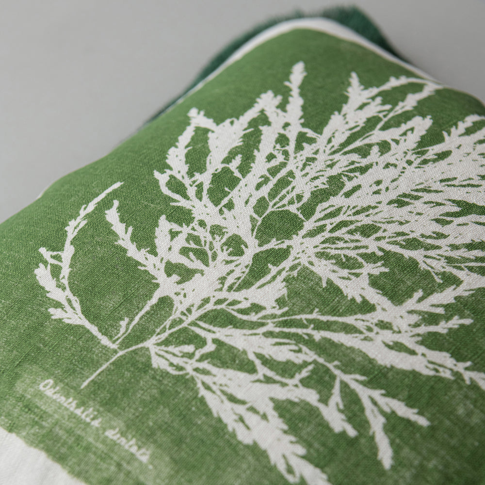 Algae I Pillow