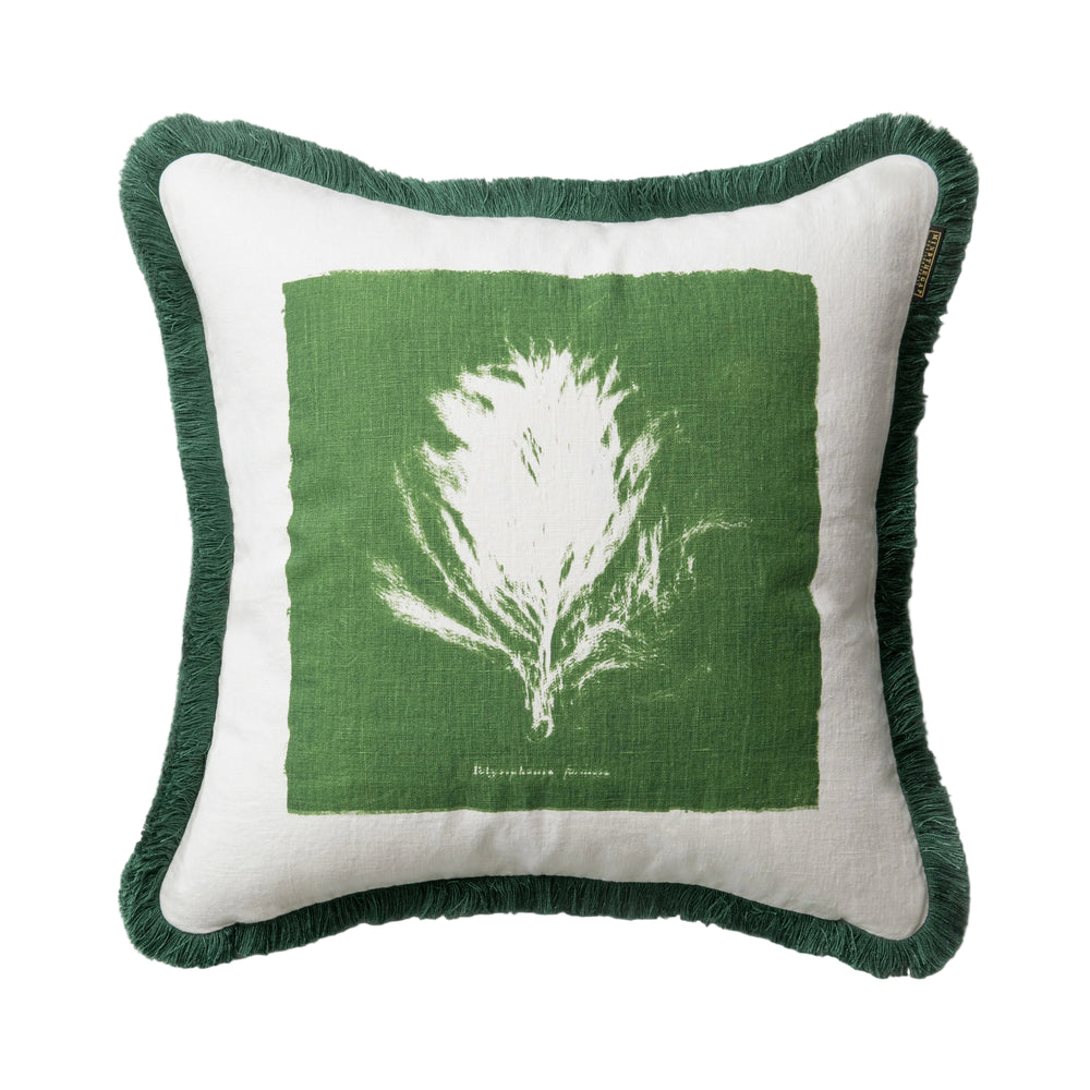 Algae II Pillow