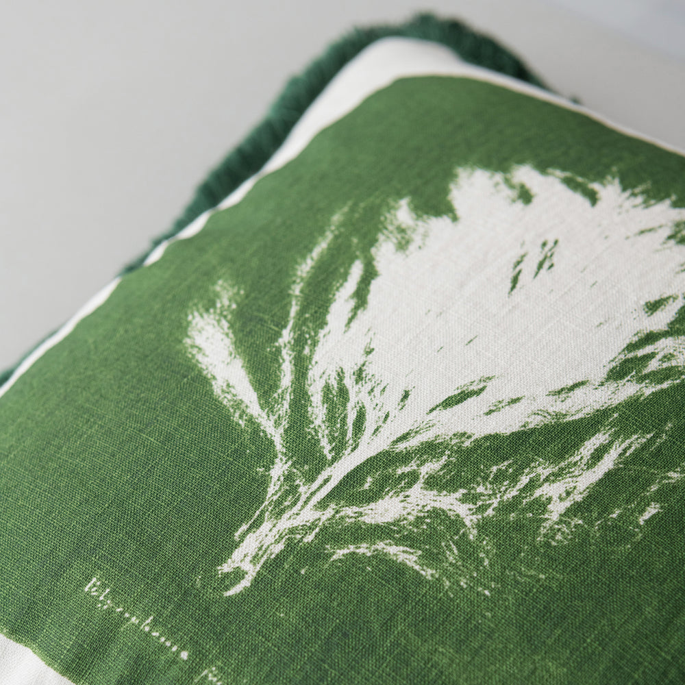 Algae II Pillow