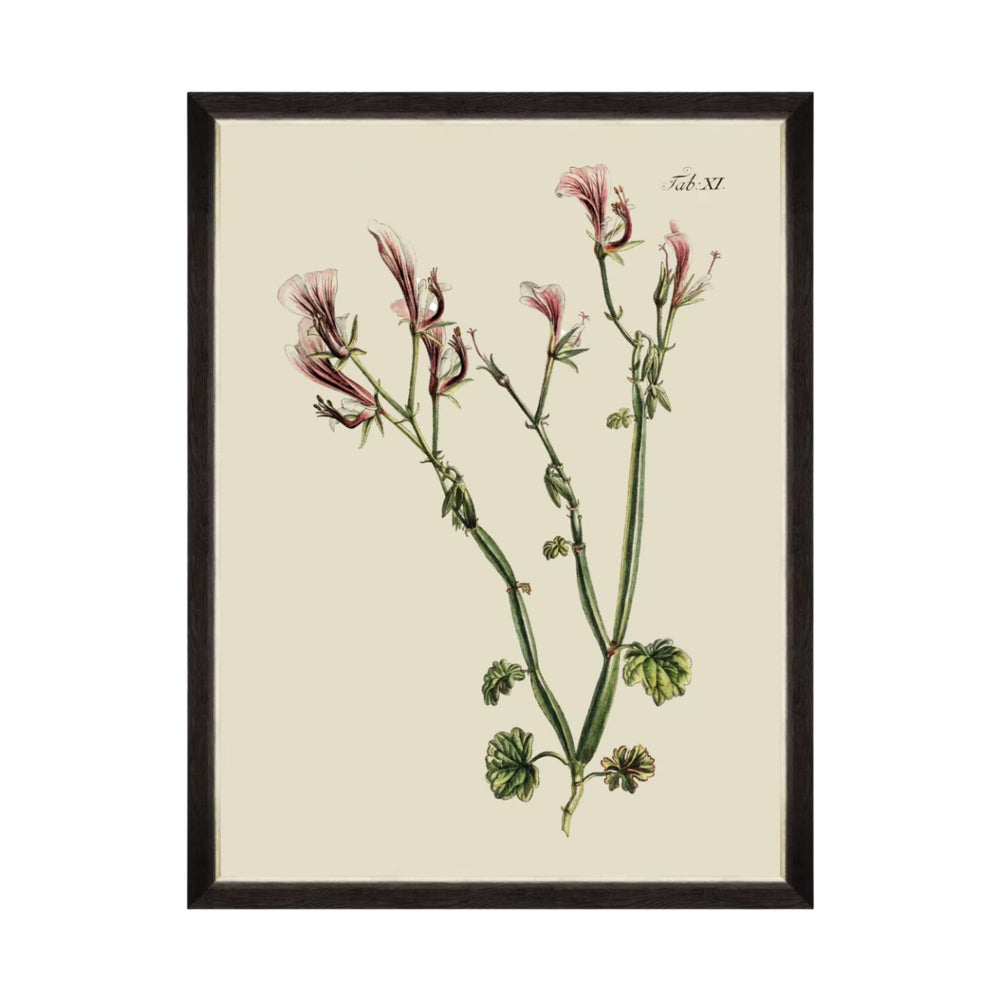 Botanical I Framed Art