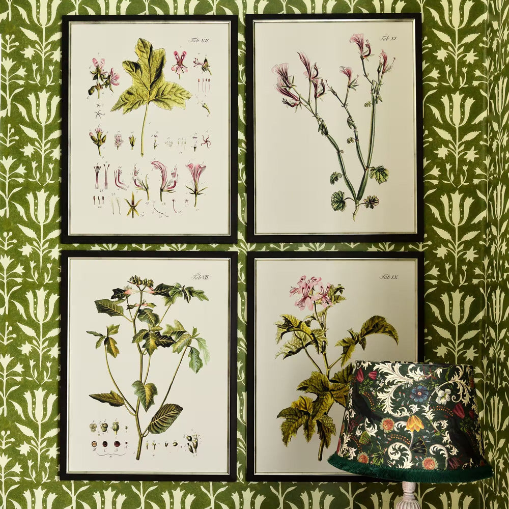 Botanical II Framed Art