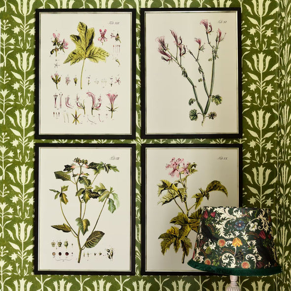 Botanical II Framed Art