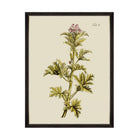 Botanical II Framed Art