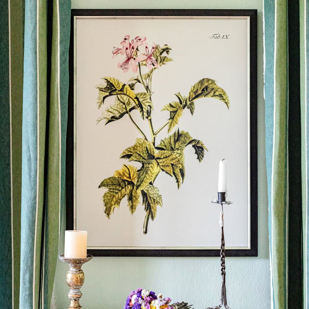 Botanical III Framed Art
